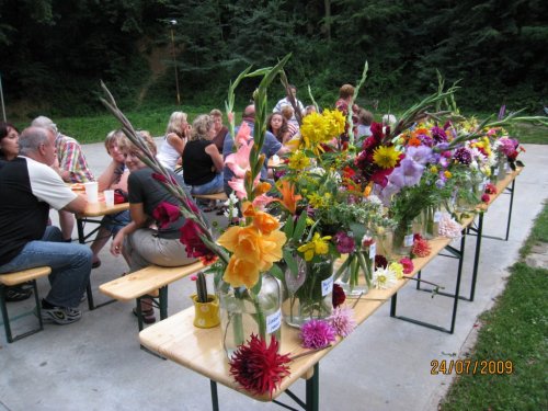 Kvetoucí letničky - 24.07.2009
